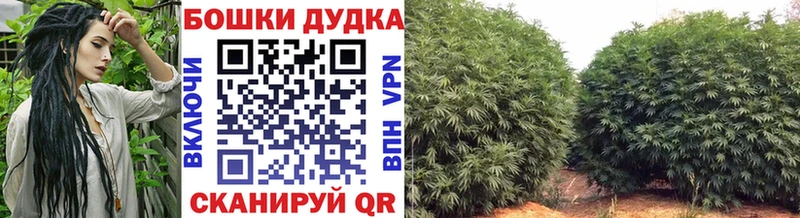 Виды наркотиков купить Барнаул А ПВП МЕФ