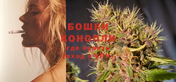 Альфа ПВП Лиски