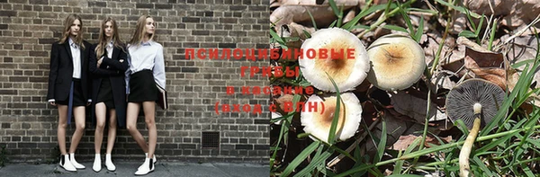 твердый Липки