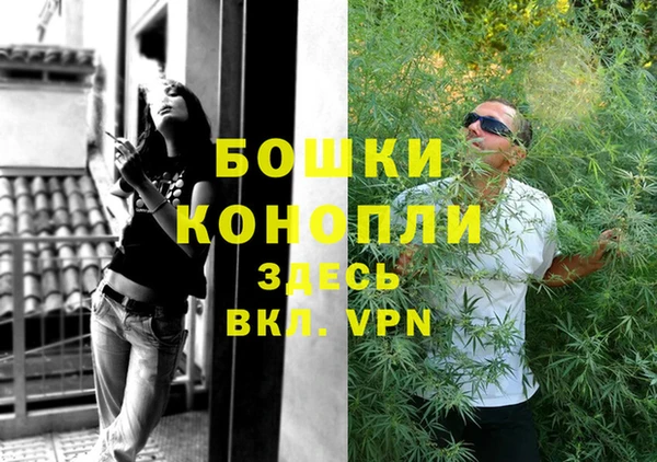 Альфа ПВП Лиски