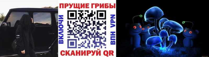 кракен ONION  сколько стоит  Барнаул  Псилоцибиновые грибы GOLDEN TEACHER 