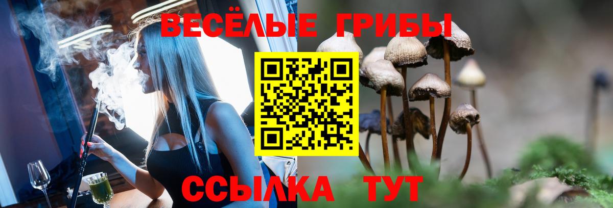 Псилоцибиновые грибы мухоморы Барнаул